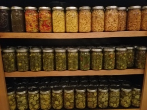 pickles stored in our dining room